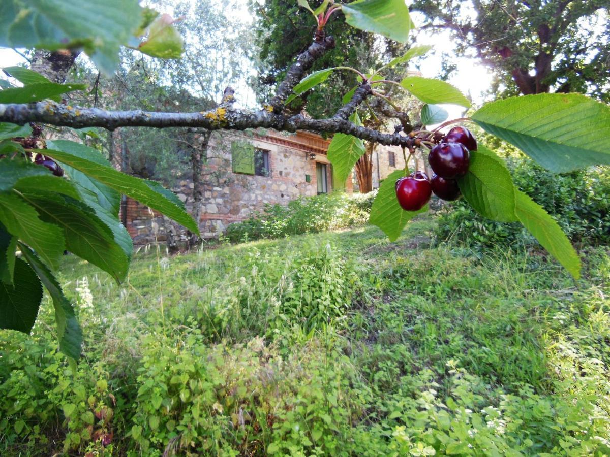 La Fontaiola Le Piazze Exterior foto