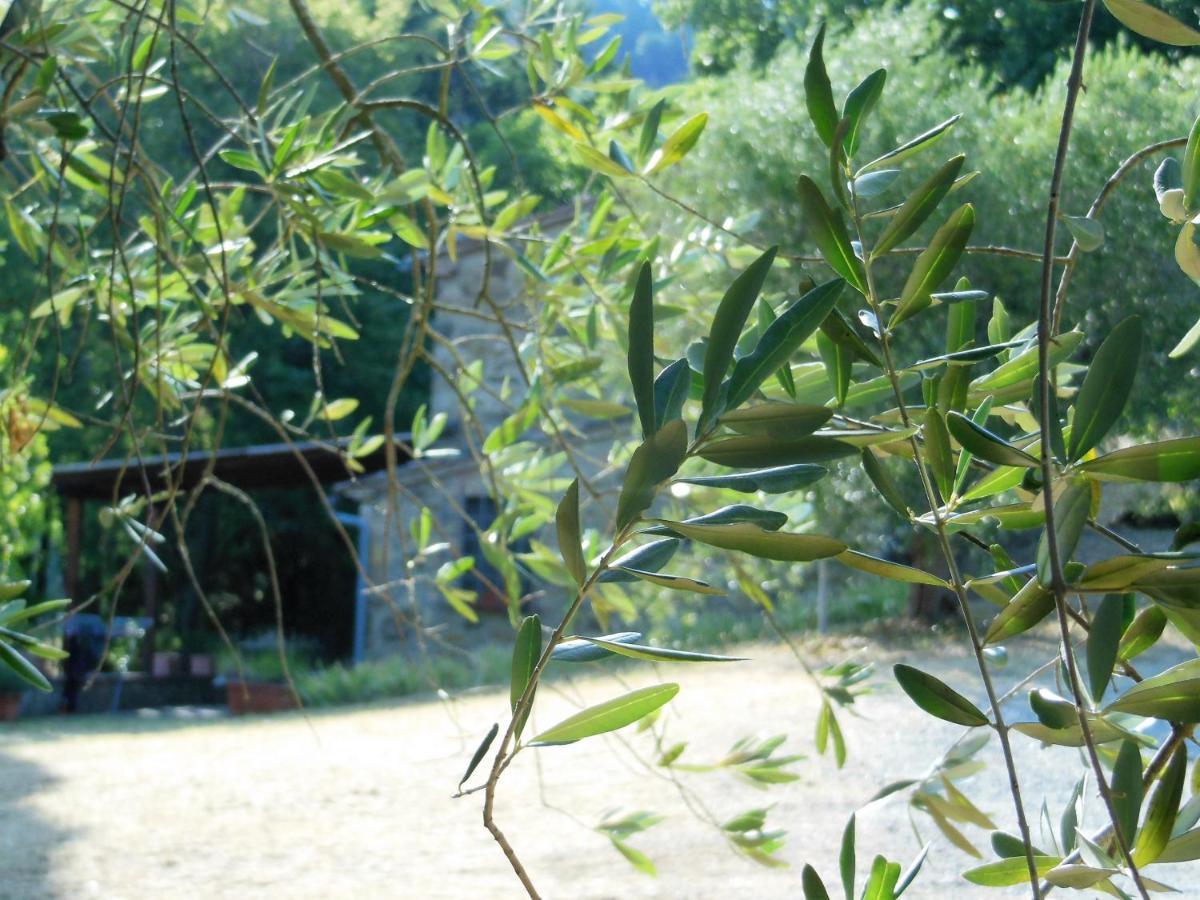 La Fontaiola Le Piazze Exterior foto