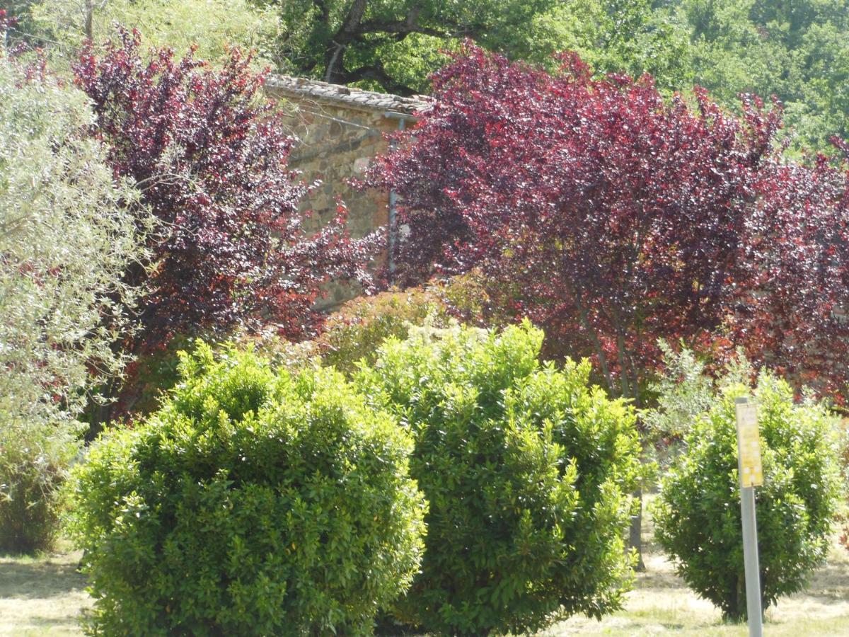 La Fontaiola Le Piazze Exterior foto