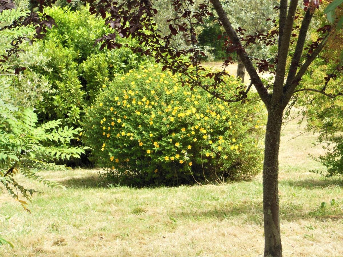 La Fontaiola Le Piazze Exterior foto