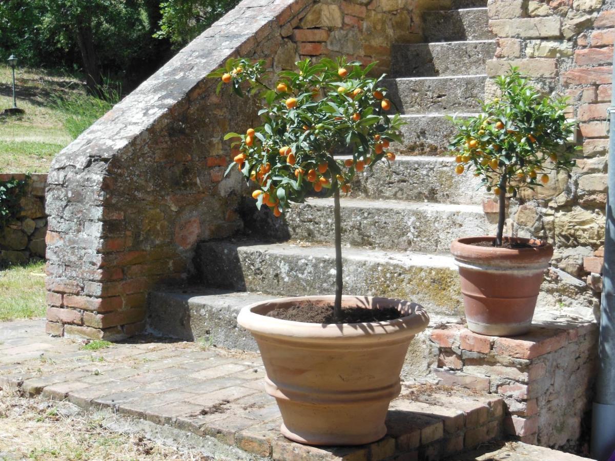 La Fontaiola Le Piazze Exterior foto